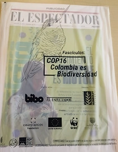 Bolsas Compostables