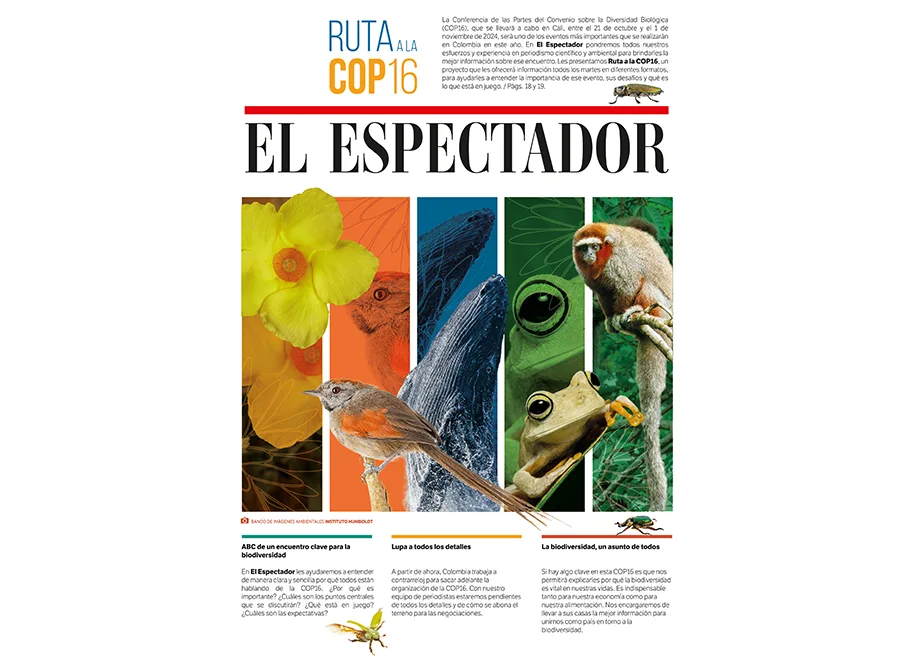 Edición COP 16 El Espectador