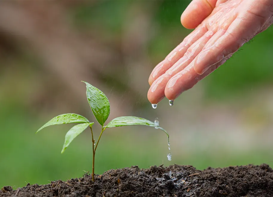 Eficiencia de recursos naturales