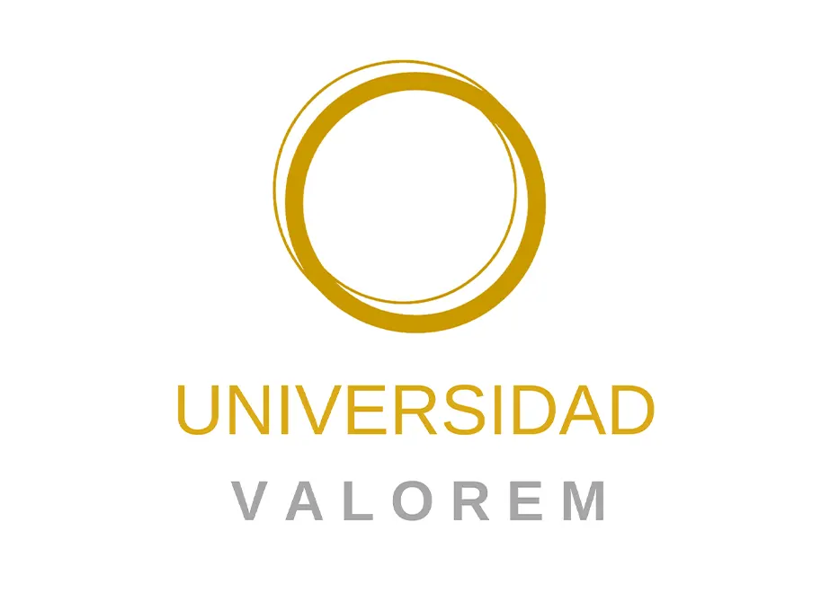 Universidad Valorem