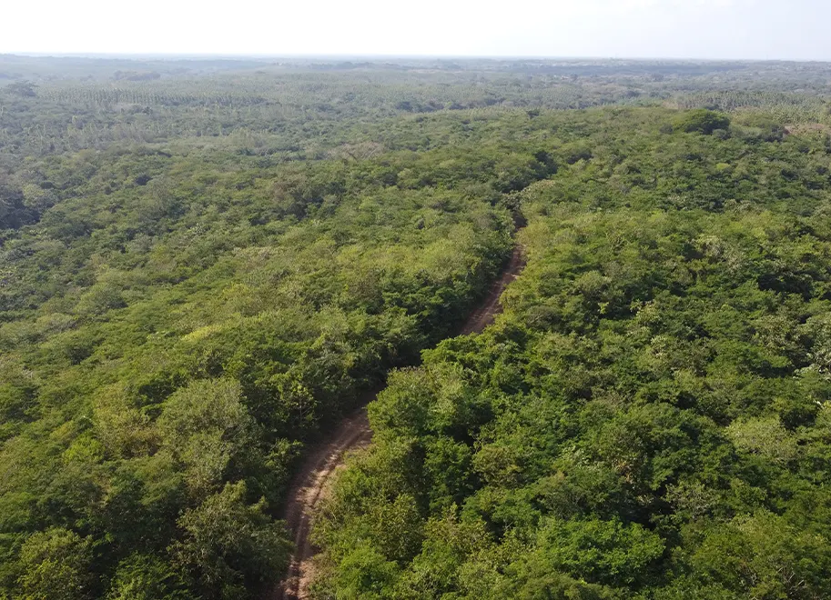 Imagen de bosque de Refocosta