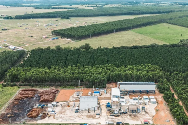 Nueva planta de generación de energía a partir de biomasa forestal en Villanueva, Casanare