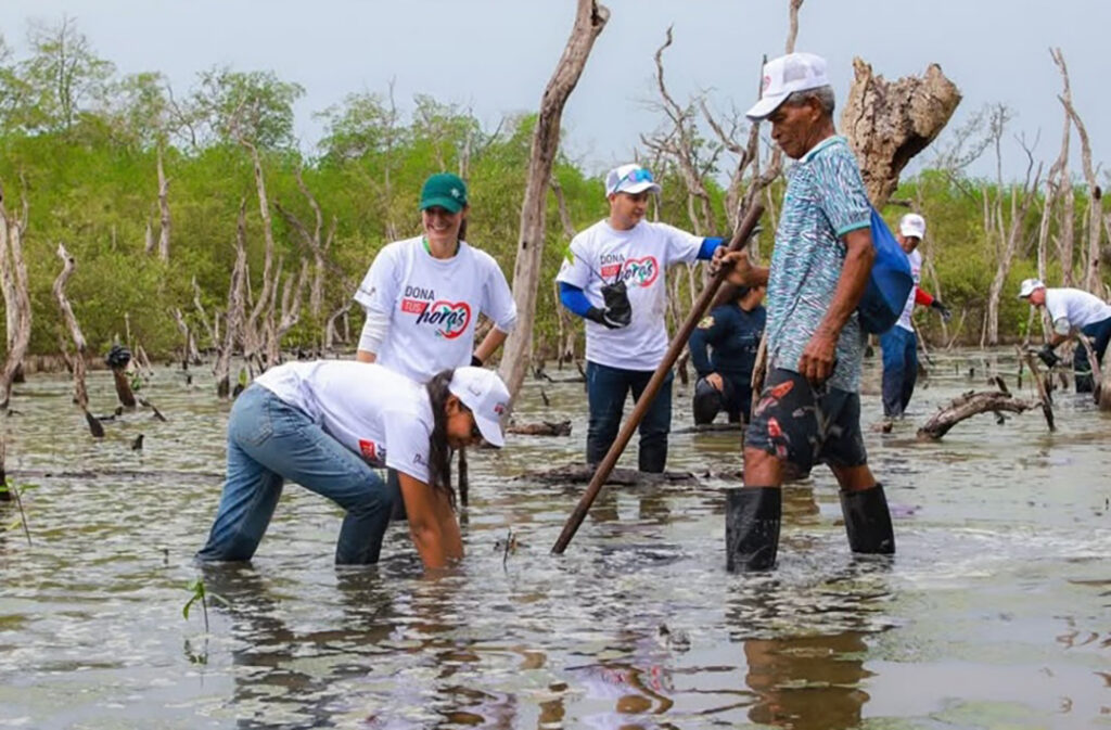 jornada de restauración ambiental en la que se sembraron 625 mangles